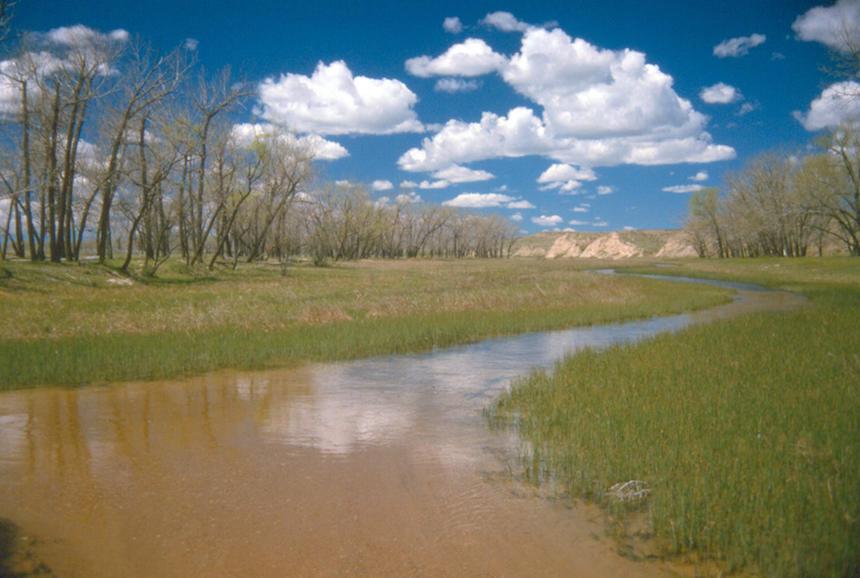 Colorado Natural Heritage Program Receives 0k to Develop Tools to Protect, Manage and Restore Colorado Wetlands